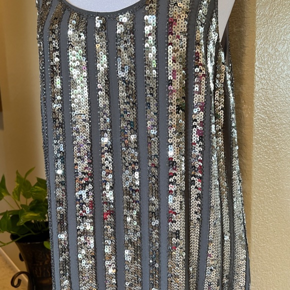 Sequin & Silk Silver Dress NWT - Picture 3 of 6